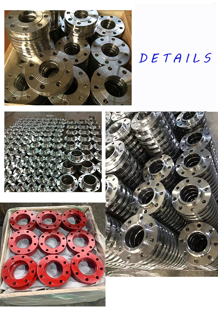 ANSI/DIN/En1092 Forged Carbon/Stainless Steel Pn10/16 Welding Neck/Blind/Slip on/Flat Plate/Socket RF/FF Pipe Flanges